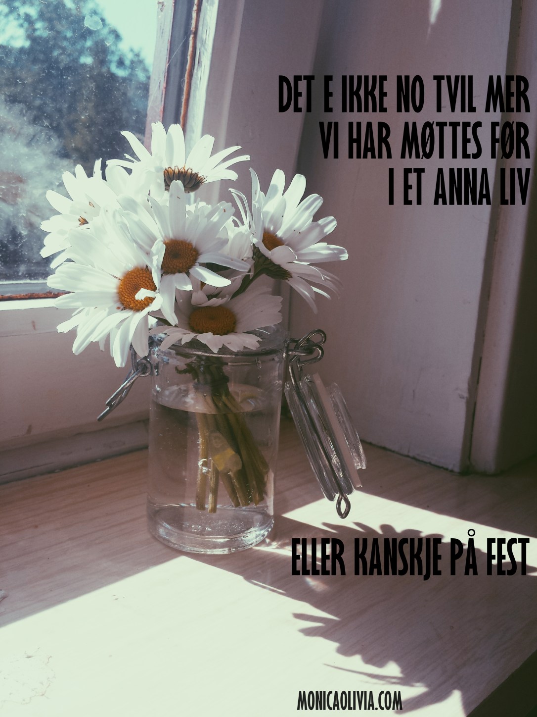 Processed with VSCOcam with p5 preset