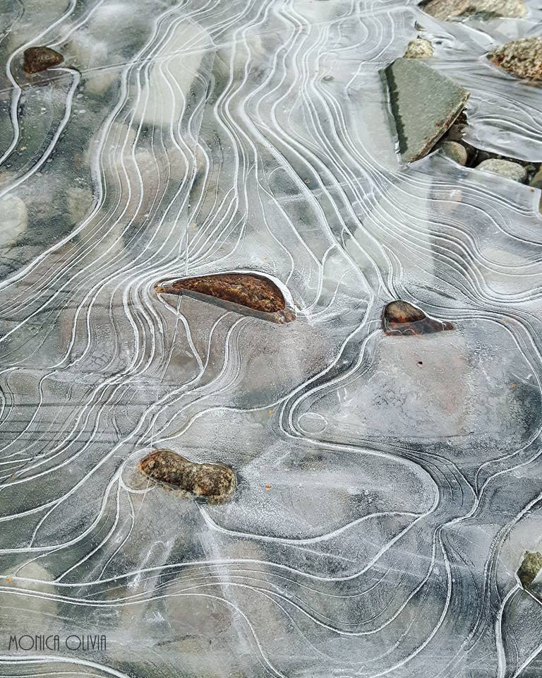 23167575_10210869196346149_1512053191132956104_n