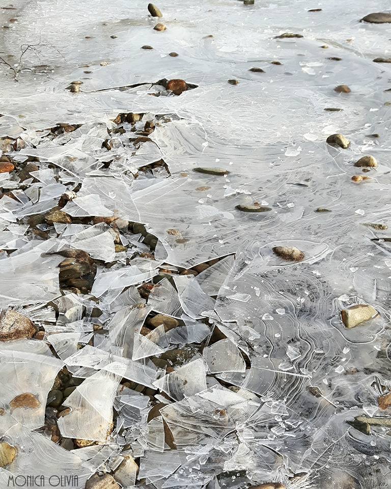 23167745_10210869197626181_3276837123496721304_n