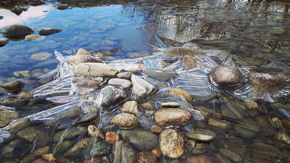 23167787_10210869196946164_2532673342735753381_n