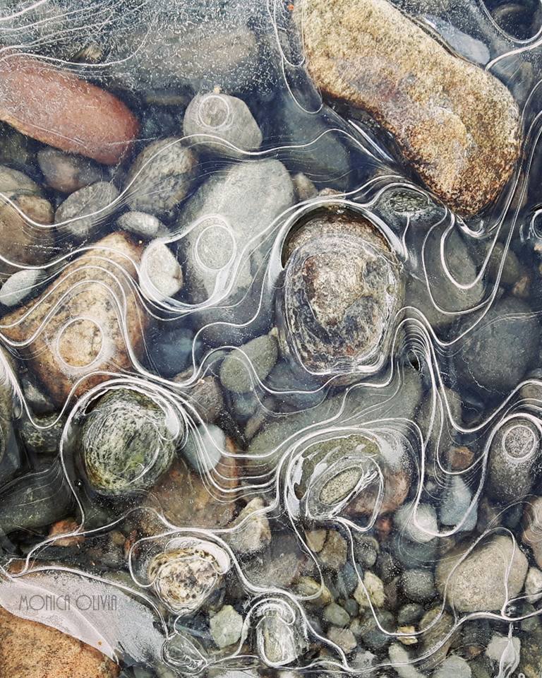 23172641_10210869196066142_294044995337275111_n