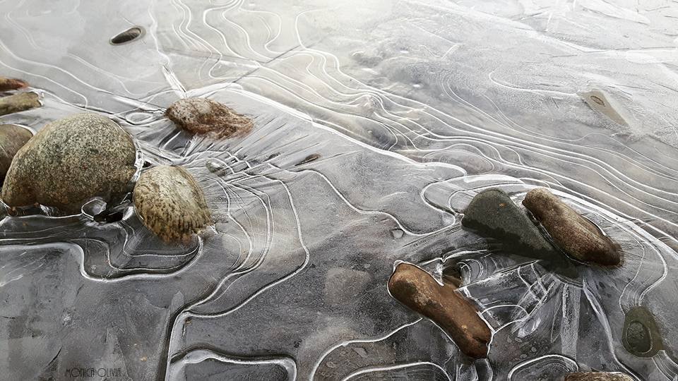 23172660_10210869196626156_137234259048134821_n