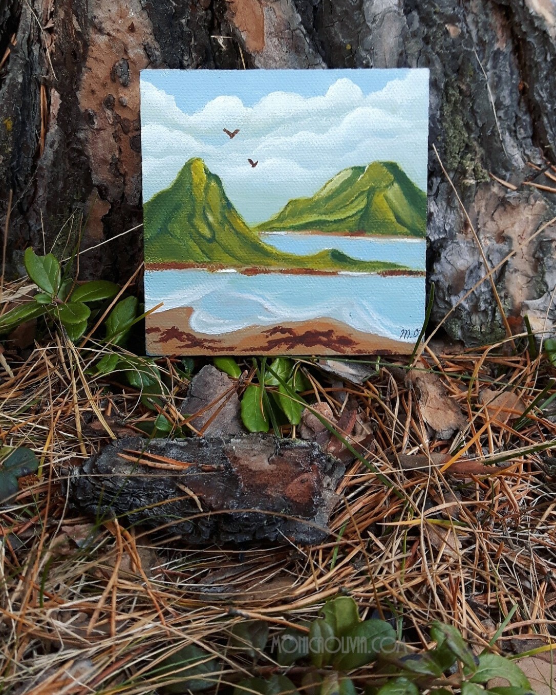 IMG_20171107_202425_330