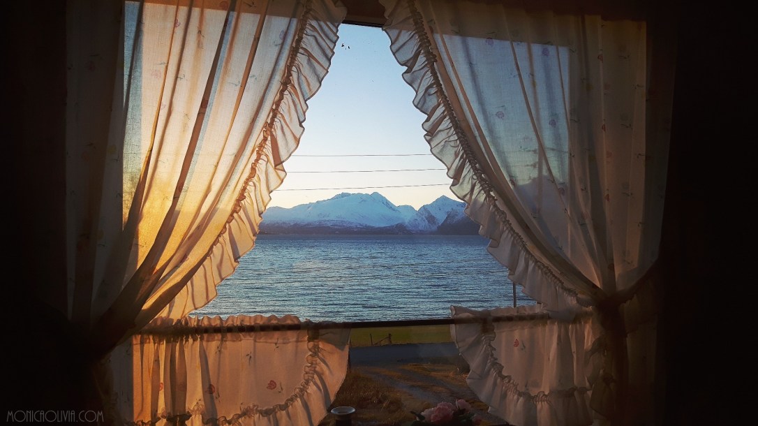 IMG_20171112_122439_026