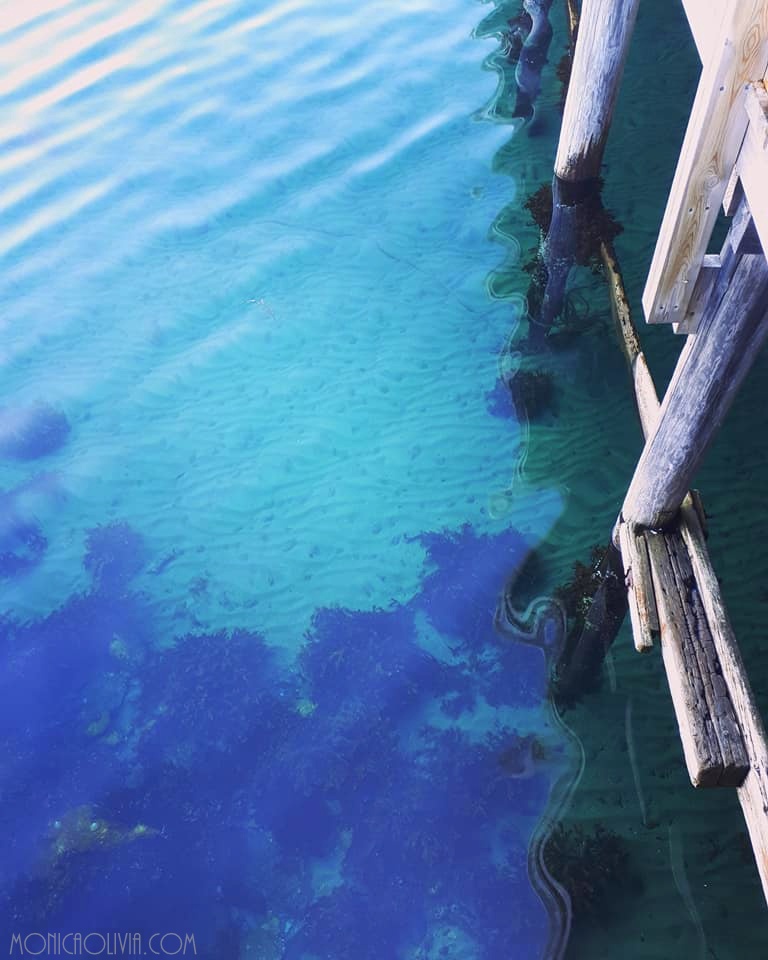 29511577_10211900834576460_4114079873899522336_n