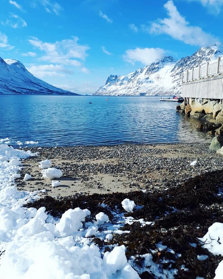 29512699_10211900836016496_3343254860788257899_n