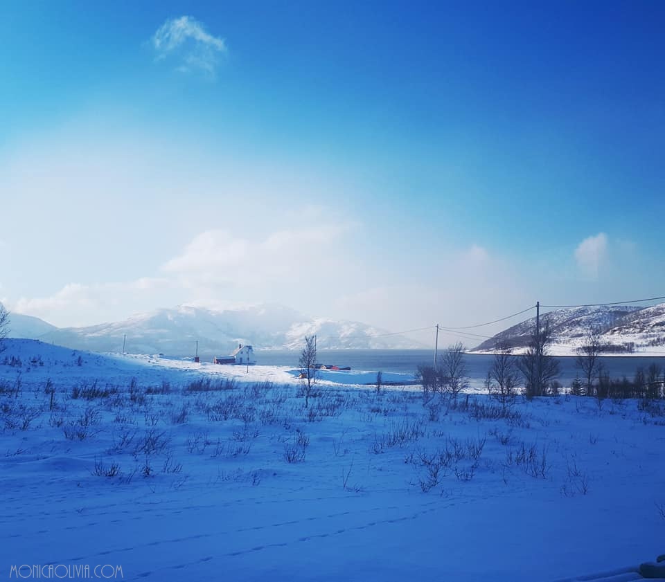 29541666_10211900829056322_2942478032821457440_n