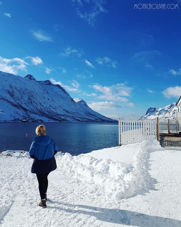 29542425_10211900835376480_5210762981715343304_n