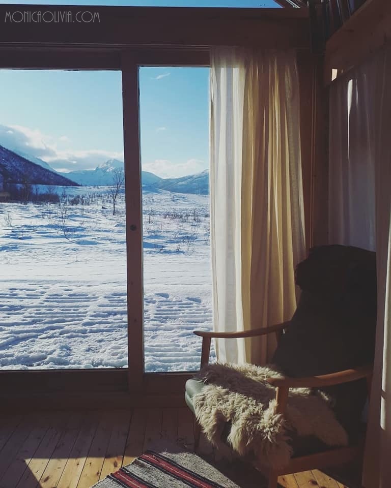 29570861_10211900828576310_6351078081222973548_n