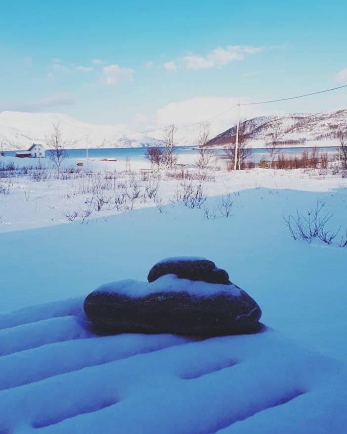 29594971_10211900828136299_4509299177155609420_n