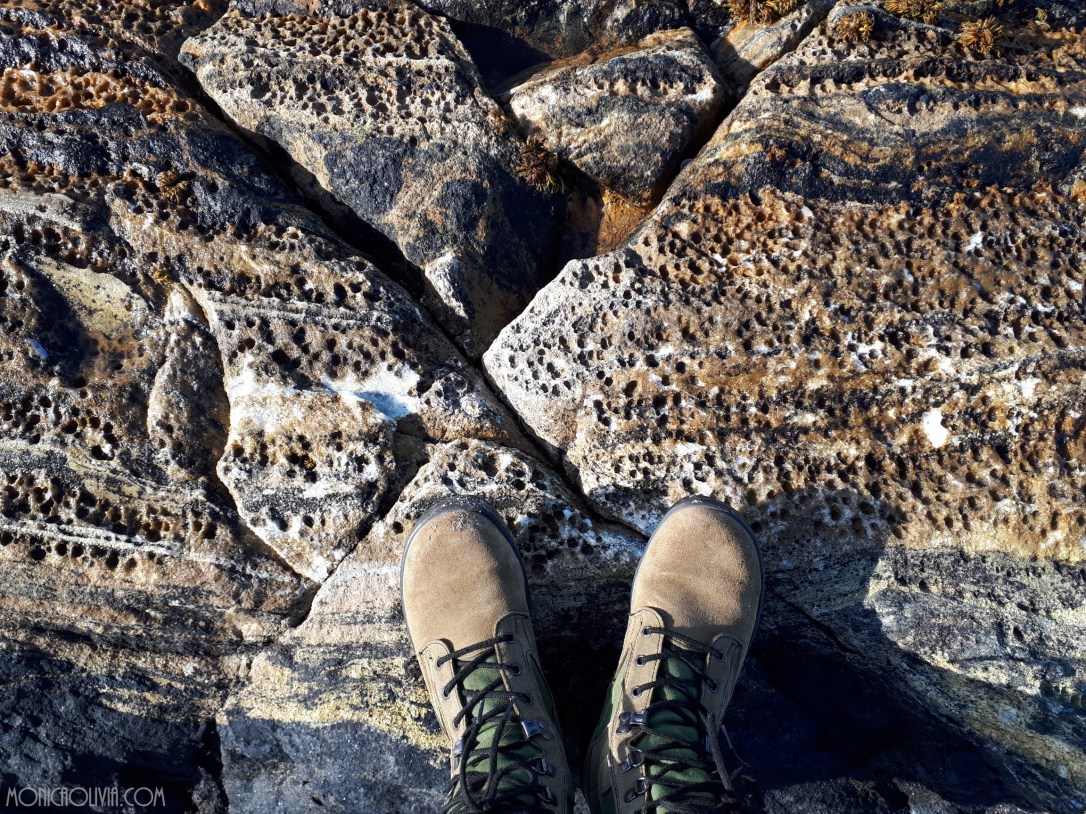 20180404_121539_resized