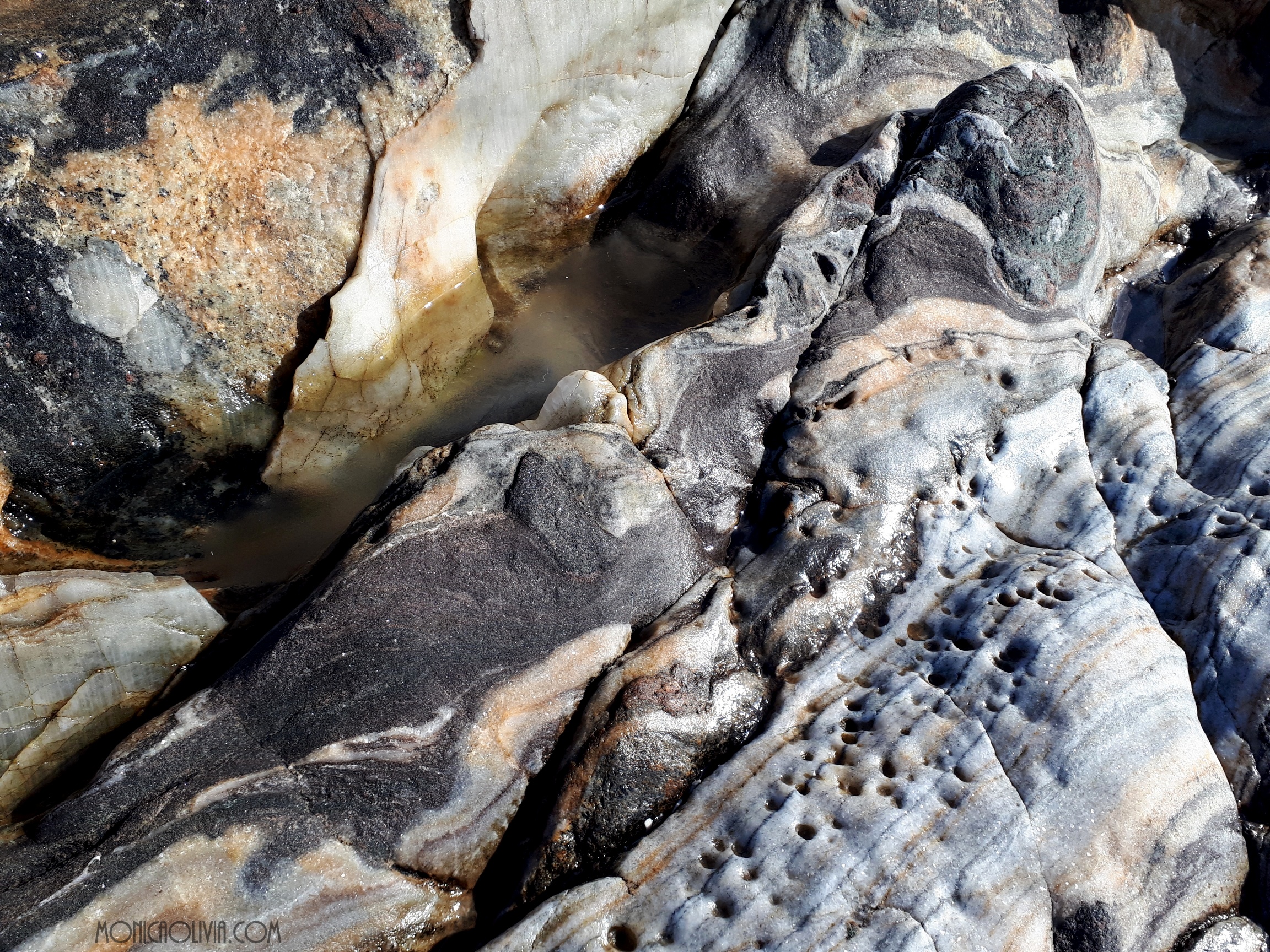 20180404_121637_resized