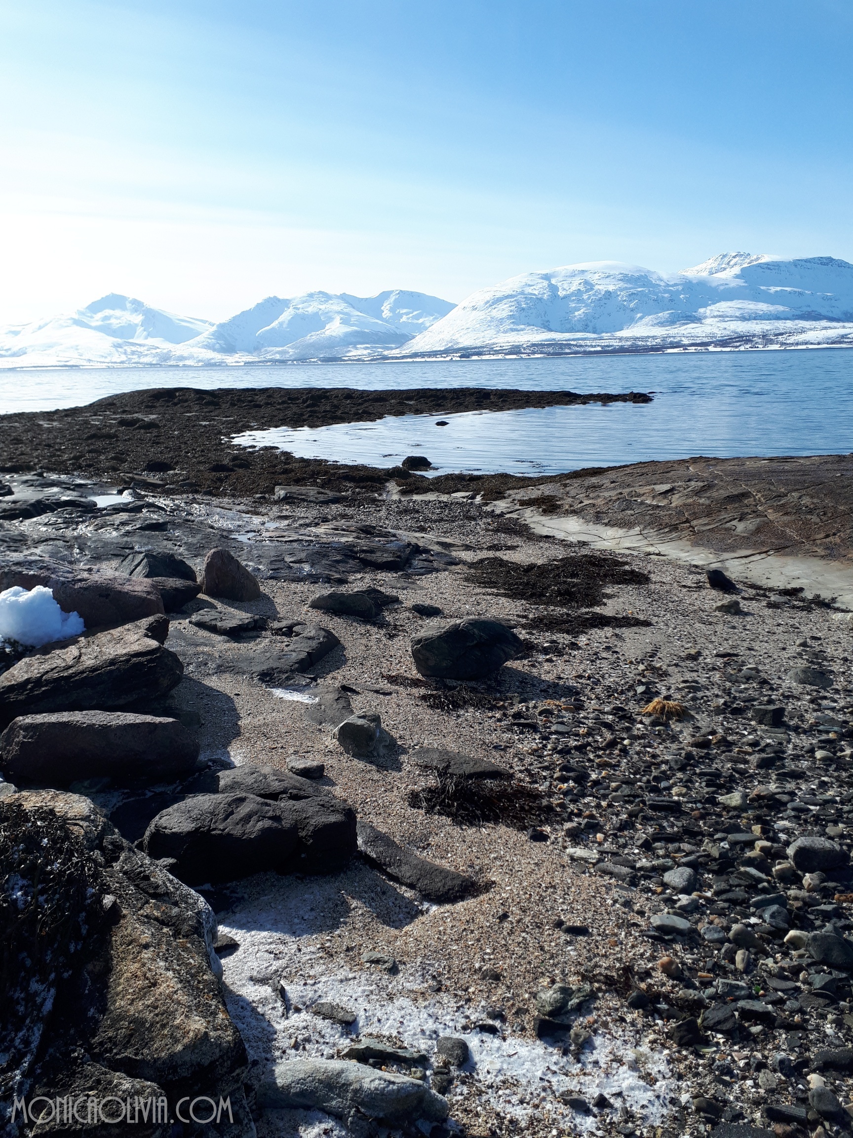 20180404_123825_resized