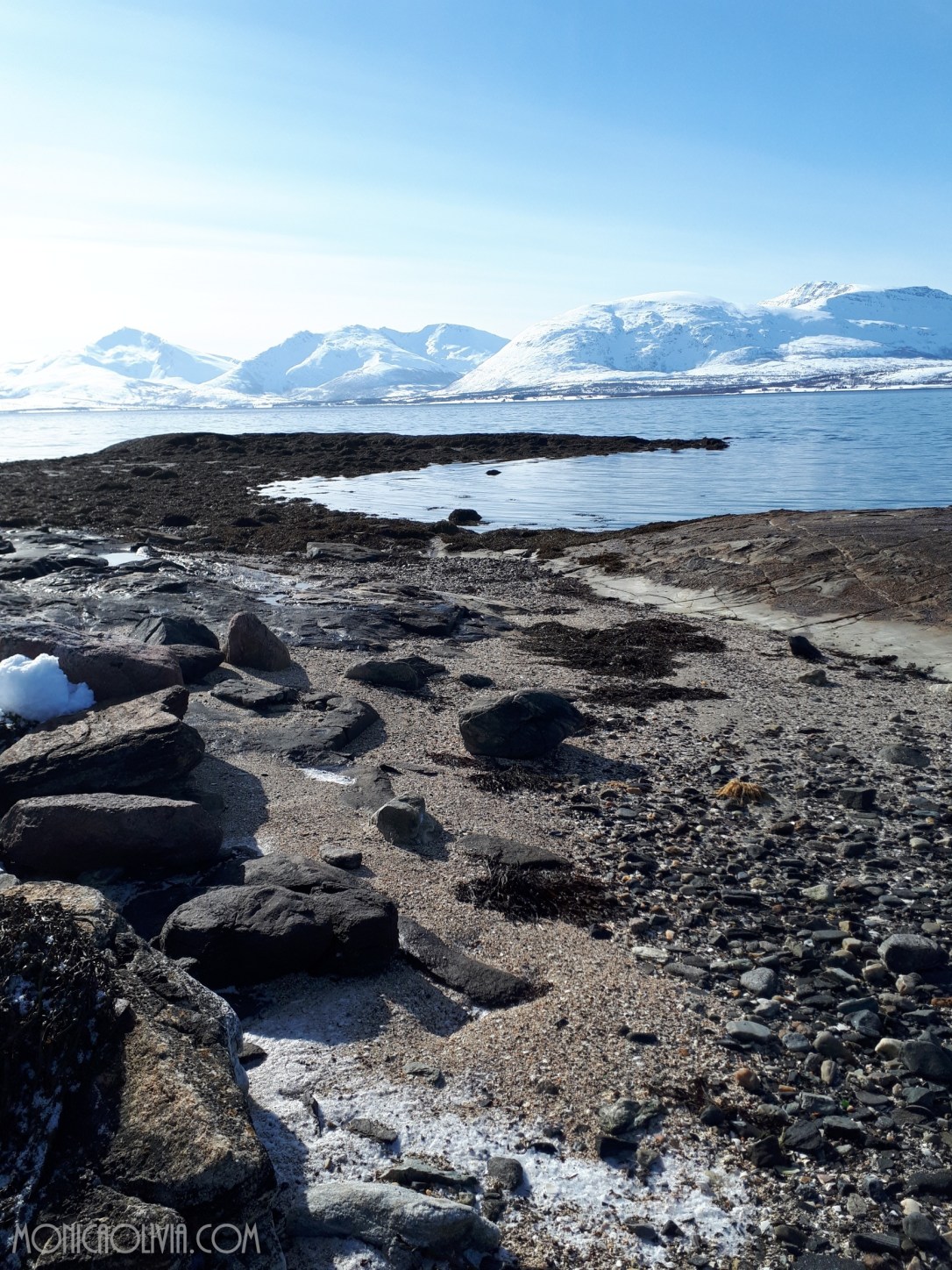 20180404_123825_resized