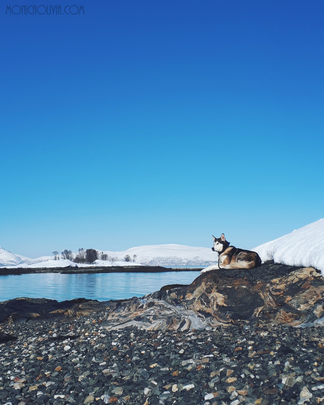 IMG_20180404_150252_783