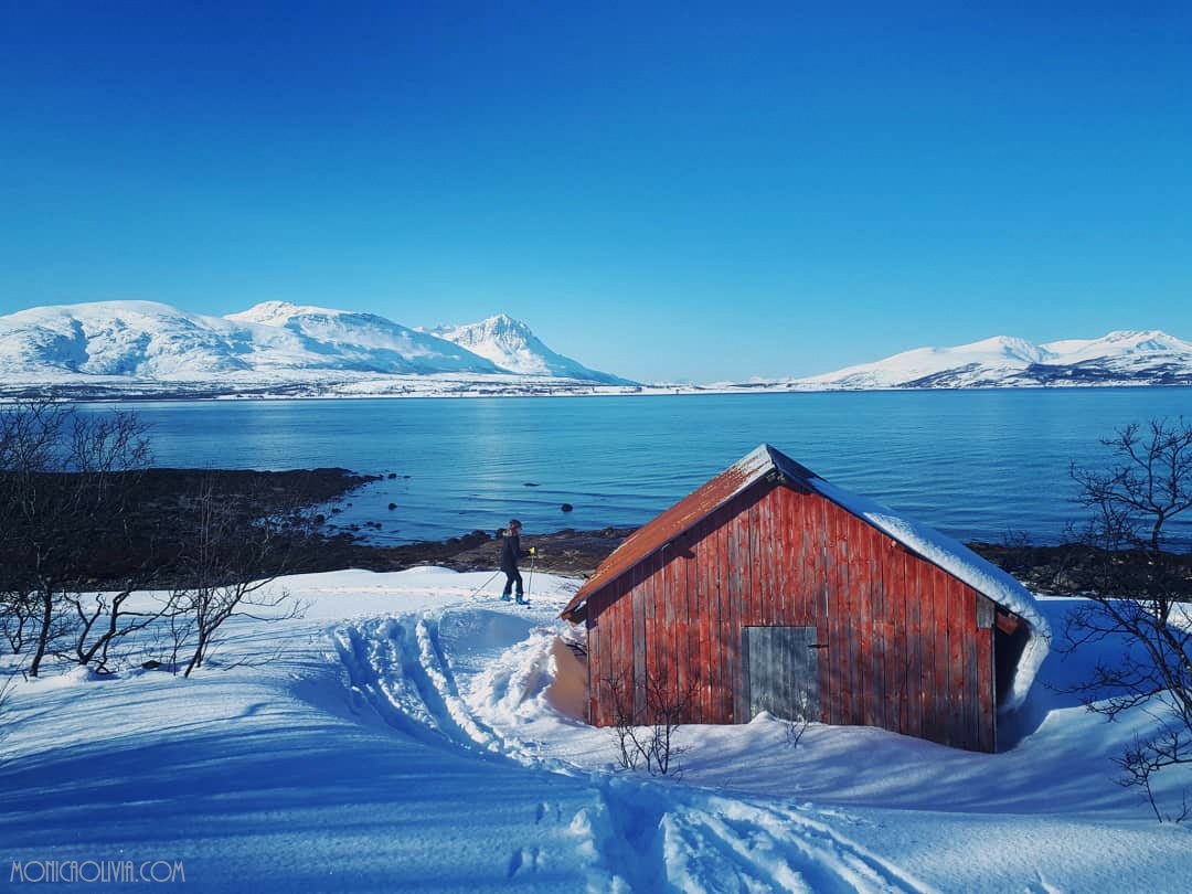 IMG_20180404_182451_565