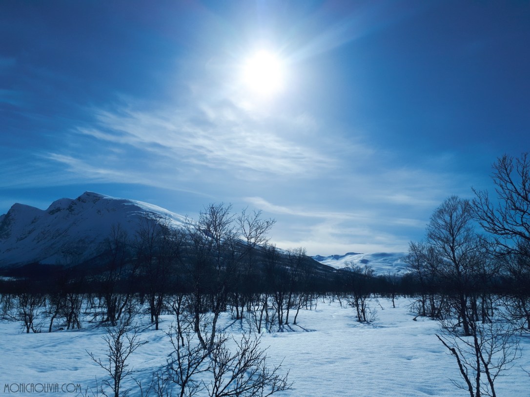 LRM_EXPORT_20180413_145822_resized