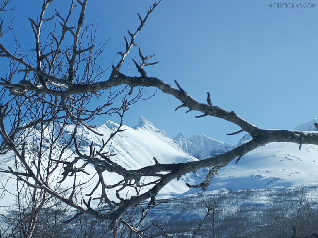 LRM_EXPORT_20180413_150602_resized