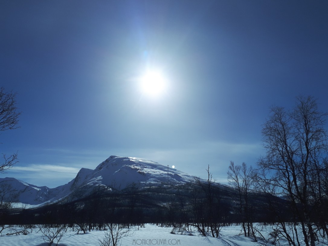 LRM_EXPORT_20180413_150629_resized