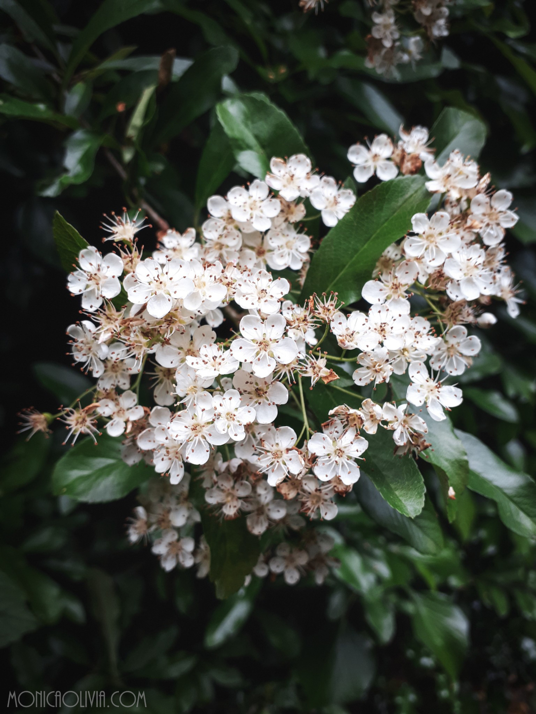 lrm_export_20180618_194057