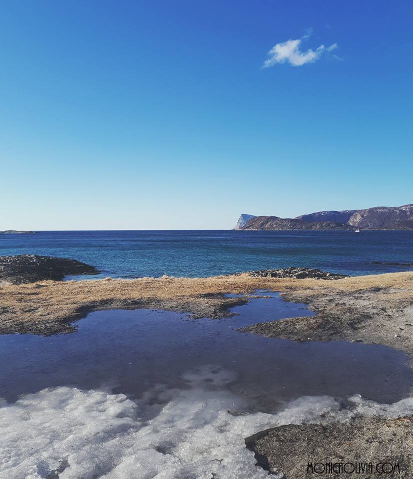 31870596_10212162084147536_4920606385915297792_n