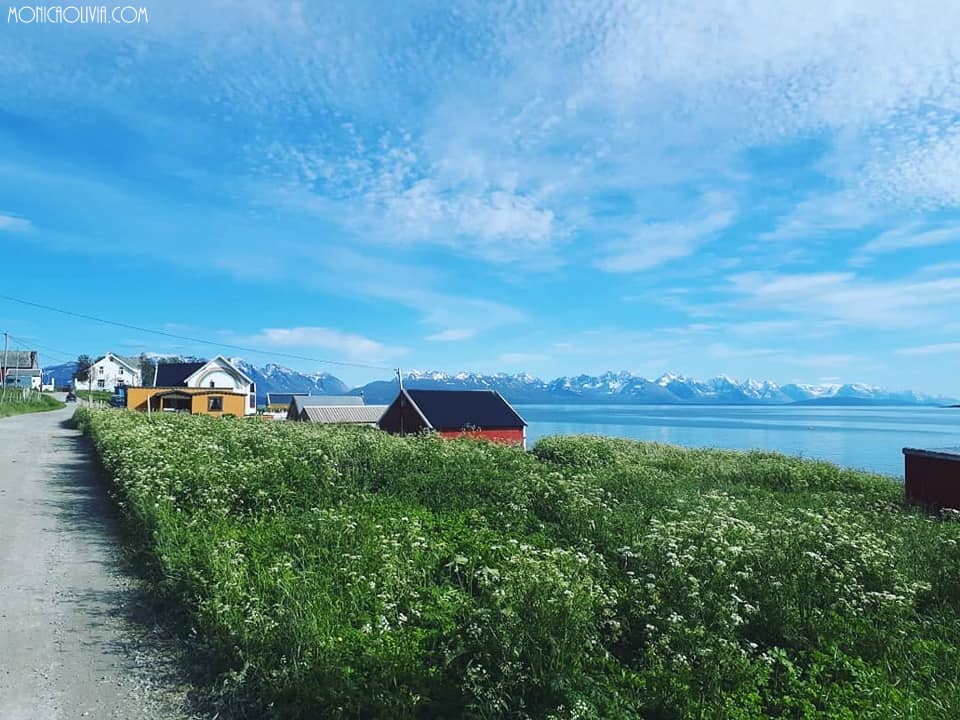 36618932_10212554431995987_3820661567737823232_n