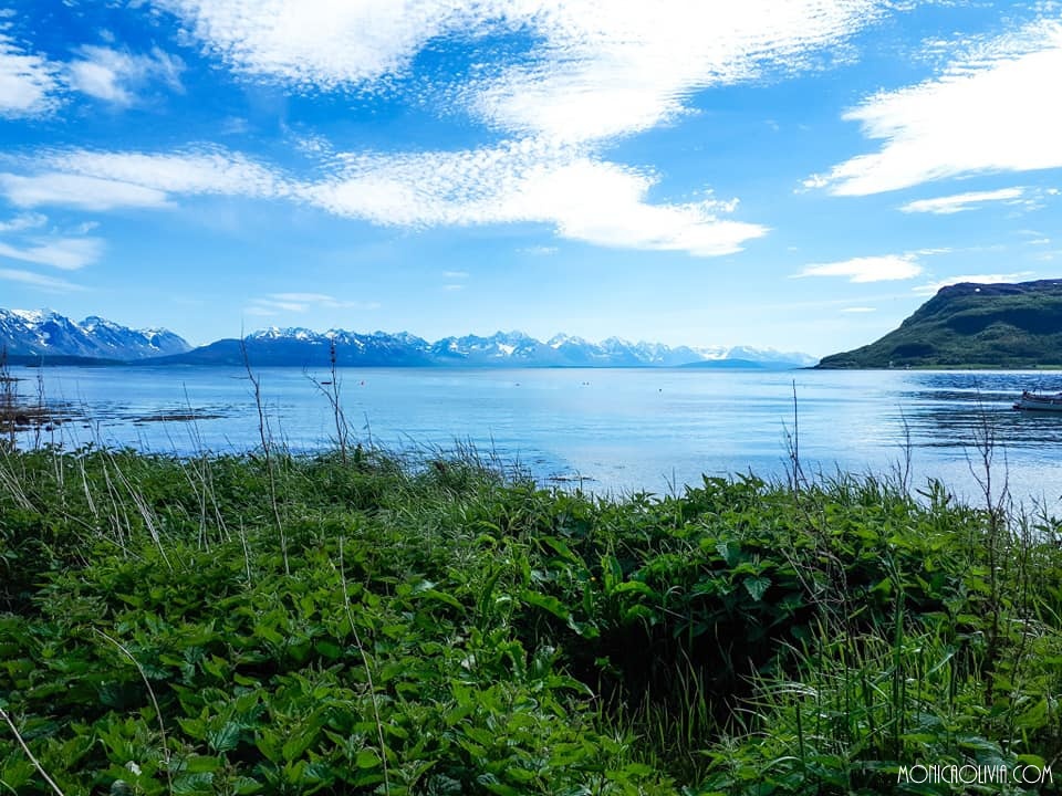 36673051_10212554433276019_6449981172721123328_n