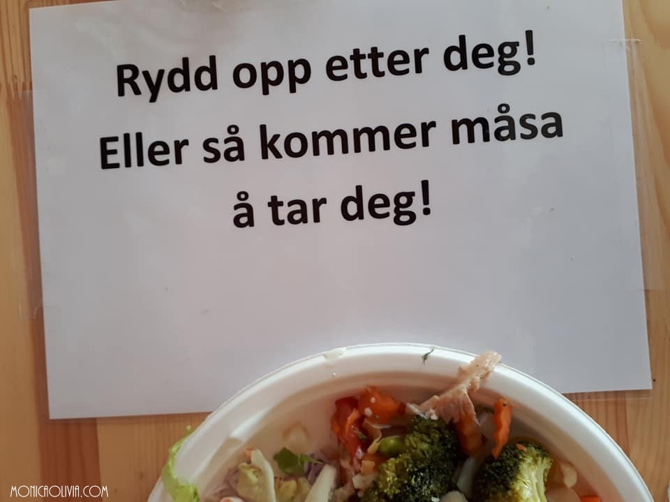 37559134_10212676865096738_8540881517109313536_n