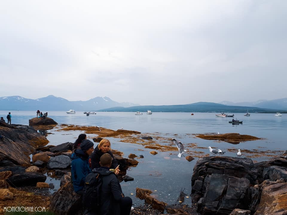 37584951_10212676862056662_5984542224052912128_n