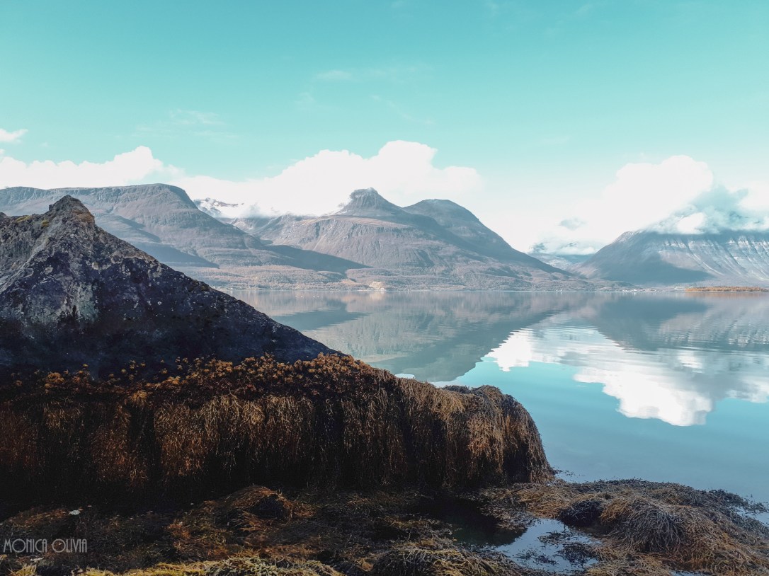 LRM_EXPORT_10630100216622_20180918_185010902