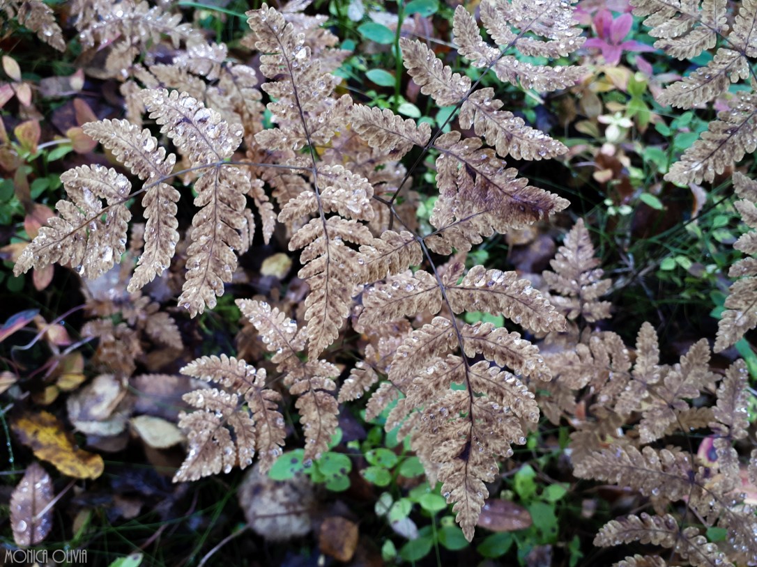 LRM_EXPORT_7557973836551_20180918_132313359