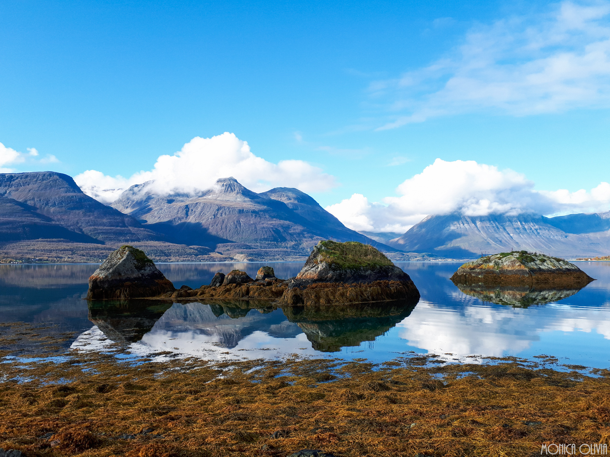 LRM_EXPORT_7630914566153_20180918_132426300