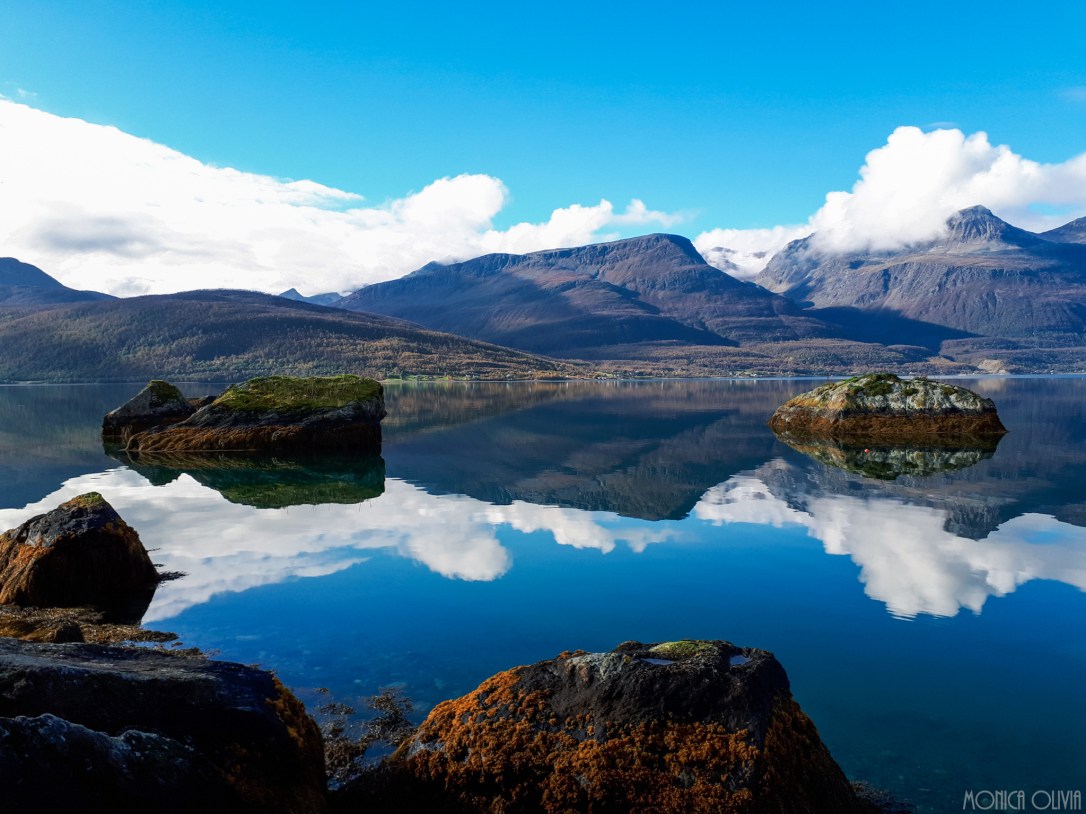 LRM_EXPORT_7761182505252_20180918_132636568