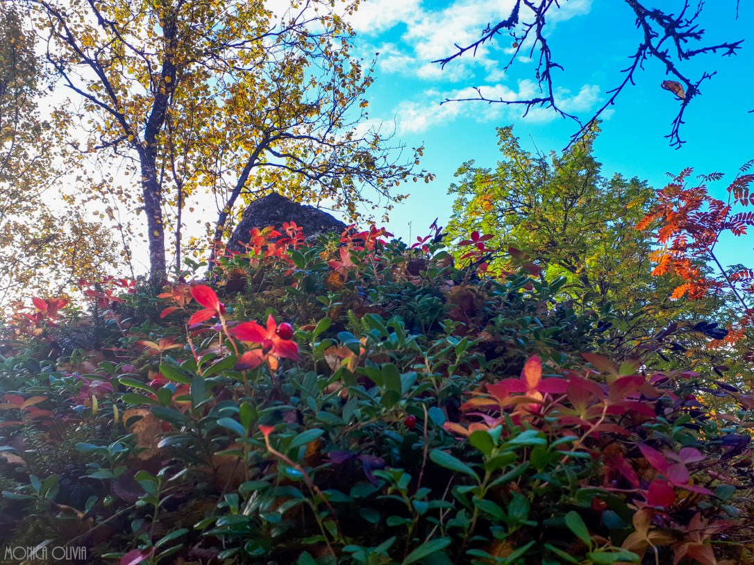 LRM_EXPORT_8707296816652_20180918_144252724