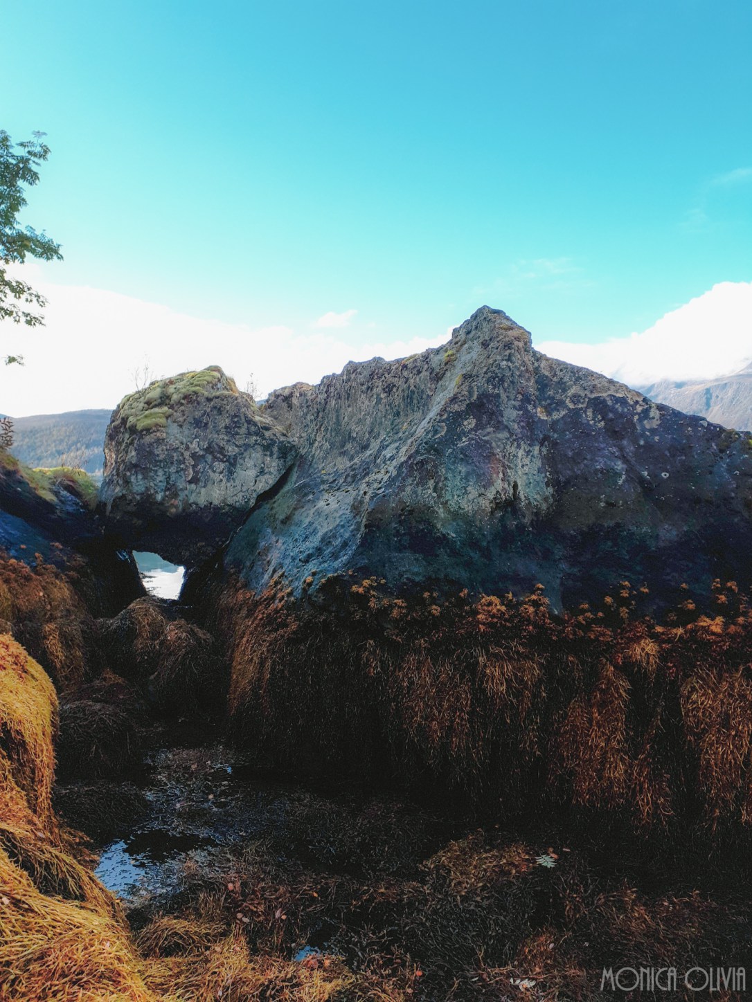 LRM_EXPORT_9074226313928_20180918_144859654