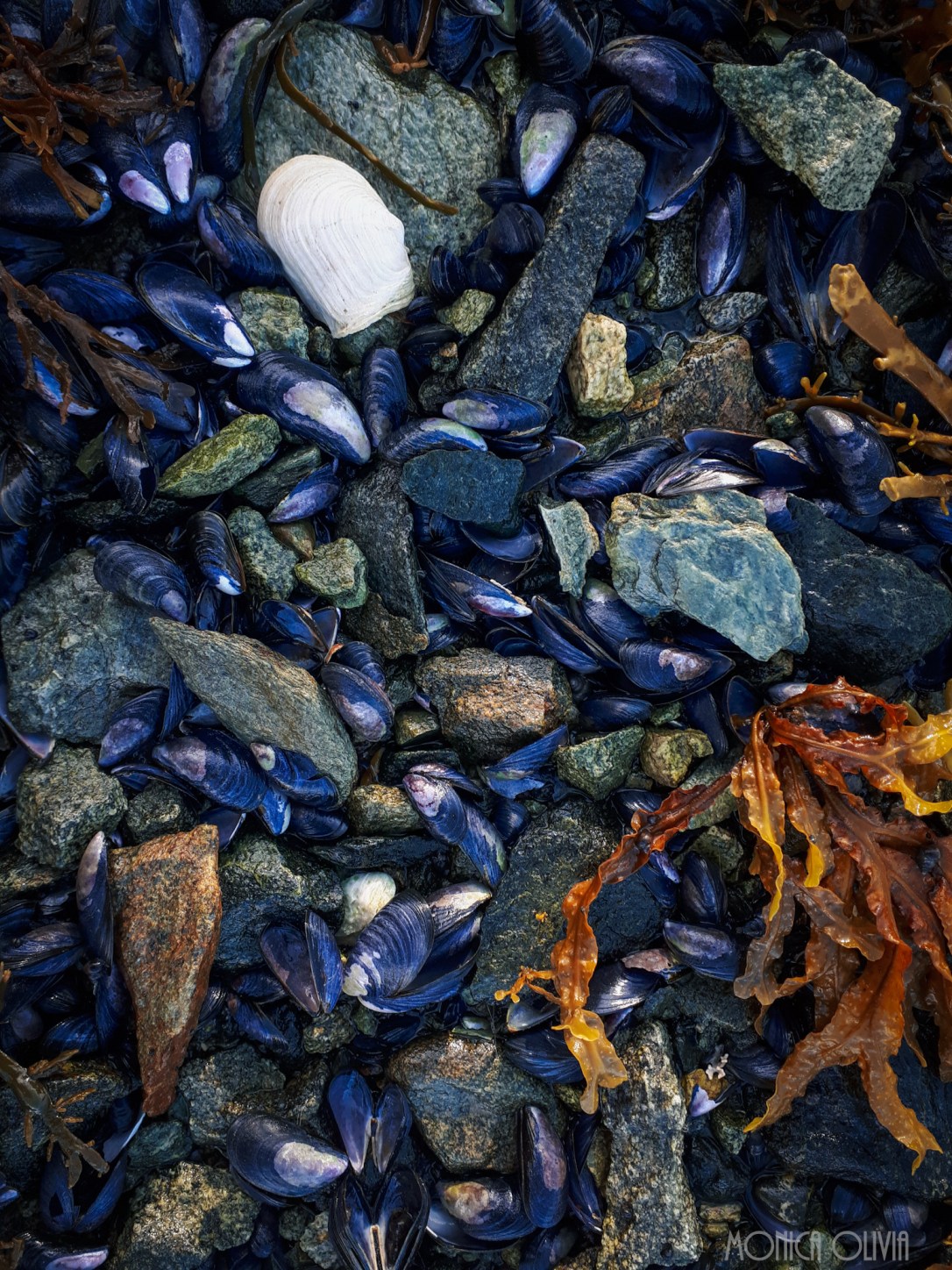 LRM_EXPORT_9601826496743_20180918_151723973