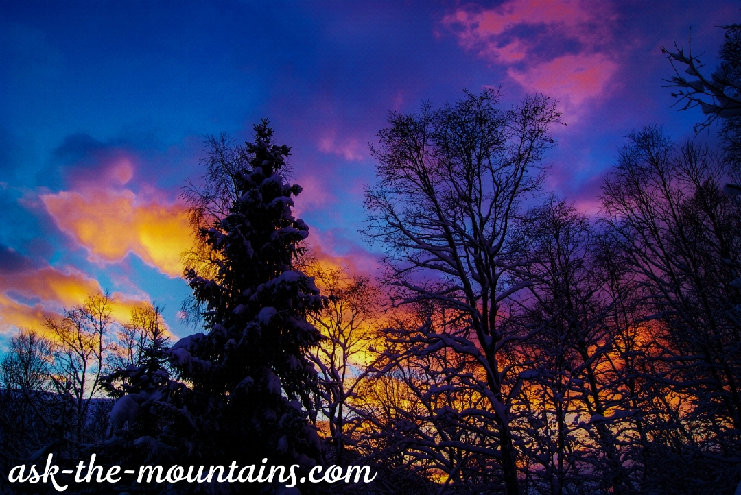 An eventful, colourful January – Ask The Mountains